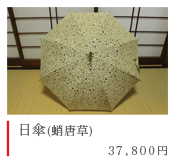 日傘(蛸唐草)